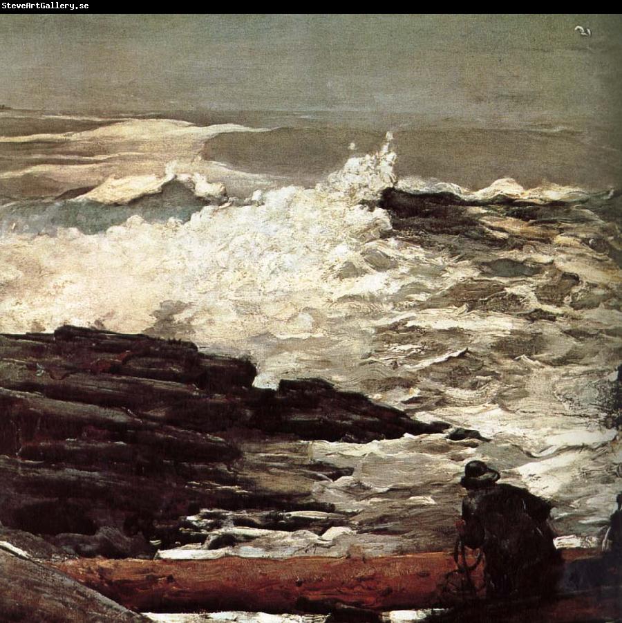 Winslow Homer Driftwood